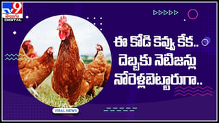 Viral Video: పాపం ఎలుక.. పిల్లికి అడ్డంగా దొరికిపోయిందిగా..!