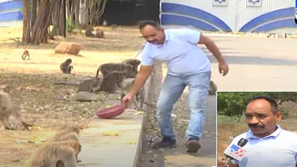 Animal Lover: ఒక చిన్న సంఘటన జంతు ప్రేమికుడిగా మార్చేసింది.. 11 ఏళ్లుగా మూగజీవాలకు బాషా సేవలు..