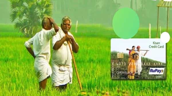 Fact Check: కిసాన్ క్రెడిట్ కార్డు రుణాలపై వడ్డీ ఉండదా..? క్లారిటీ ఇచ్చిన పీఐబీ..!