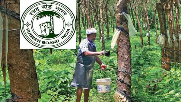 Kerala Rubber Board Jobs 2022: డిగ్రీ అర్హతతో కేరళ రబ్బర్ బోర్డులో ఫీల్డ్ ఆఫీసర్ ఉద్యోగాలు..రూ.34 వేలకుపైగా జీతంతో..