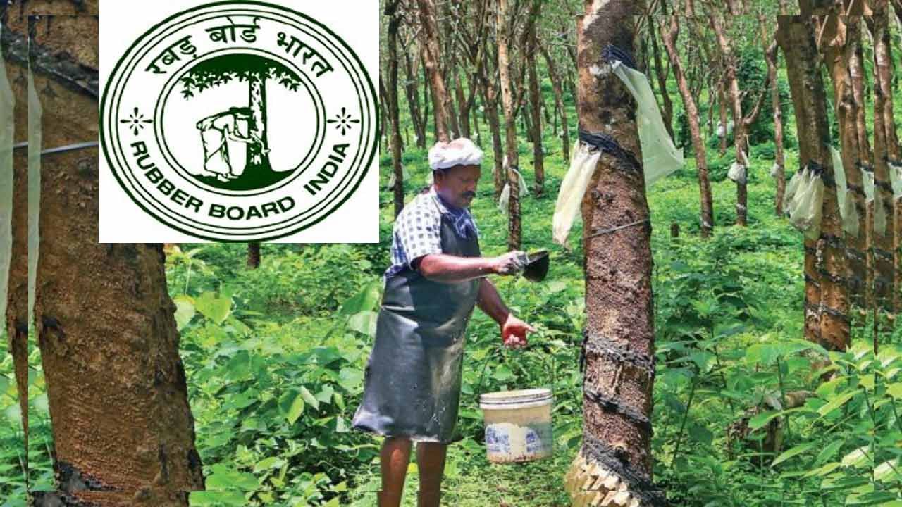 Kerala Rubber Board Jobs 2022: డిగ్రీ అర్హతతో కేరళ రబ్బర్ బోర్డులో ఫీల్డ్‌ ఆఫీసర్‌ ఉద్యోగాలు..రూ.34 వేలకుపైగా జీతంతో..