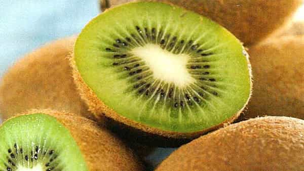 Health Tips: కివీ ఫ్రూట్ని సరైన పద్దతిలో తింటే రెట్టింపు లాభాలు..!