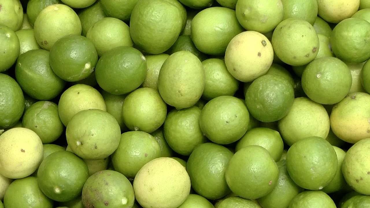 Lemon Price: సామాన్యుడి జోబును పిండేస్తున్న నిమ్మ.. రాకెట్‌లా పైపైకి దూసుకుపోతున్న ధర..