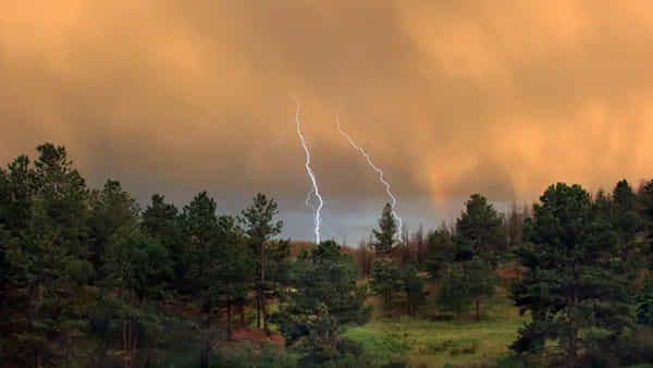 Lightning Strike: విషాదాన్ని మిగిల్చిన అకాల వర్షాలు.. కర్నూలు జిల్లాలో పిడుగుపాటుకు నలుగురు మృతి