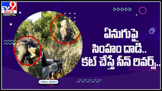 Octopus Secrets: ఆక్టోపస్‌ గురించి మీకు తెలియని విషయాలు..! 9 మెదడులు, 3 హృదయాలు కలిగి…