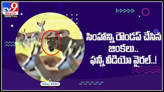 Boy Cooking Video: ఈ బుడ్డోడి కుకింగ్‌ స్కిల్స్‌ అదుర్స్‌.. ప్రొఫెషనల్‌ చెఫ్‌ని మించి.. నలభీములకు సరిసాటి..