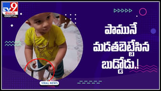 Digital News Round Up: సర్కార్‌’ రిలీజ్ చెప్పిన మహేష్ | బస్సుపై ఏనుగు ఎటాక్‌..లైవ్ వీడియో