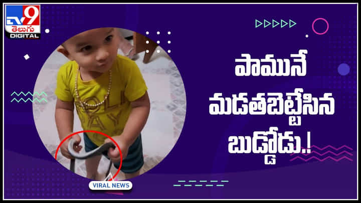 Shocking Video: ఒరేయ్ అది పామురా.. పామునే మడతబెట్టేసిన బుడ్డోడు.! సోషల్ మీడియాలో చక్కర్లు కొడుతున్న షాకింగ్ వీడియో Shocking Video: ఒరేయ్ అది పామురా.. పామునే మడతబెట్టేసిన బుడ్డోడు.! సోషల్ మీడియాలో చక్కర్లు కొడుతున్న షాకింగ్ వీడియో