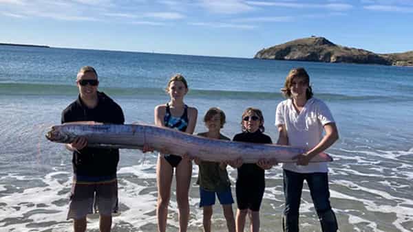 Oarfish: సముద్ర తీరంలో అరుదైన చేప.. ఇలా ఒడ్డుకు రావడం మంచిది కాదంటున్న శాస్త్రవేత్తలు