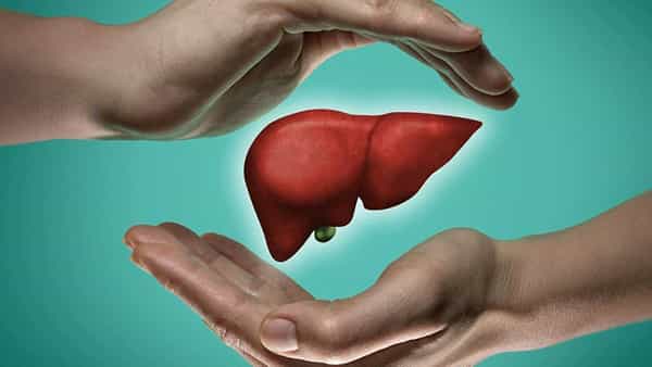 World Liver Day 2022: కాలేయం ఆరోగ్యంగా ఉండాలంటే ఏం చేయాలి? ఏం చేయకూడదు? ఇప్పుడే తెలుసుకోండి..