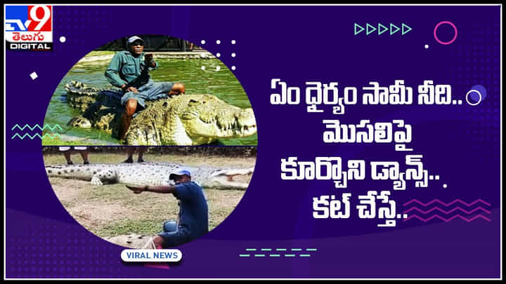 Man Dance On Crocodile: ఏం ధైర్యం సామీ నీది.. మొసలిపై కూర్చొని డ్యాన్స్.. కట్ చేస్తే నవ్వులే నవ్వులు.. Man Dance On Crocodile: ఏం ధైర్యం సామీ నీది.. మొసలిపై కూర్చొని డ్యాన్స్.. కట్ చేస్తే నవ్వులే నవ్వులు..