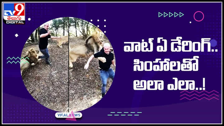 Viral Video: వావ్.. వాట్ ఏ డేరింగ్.. సింహంతో సయ్యాటలు.. అలా ఎలా గురు..! అంటున్న నెటిజన్లు.. Viral Video: వావ్.. వాట్ ఏ డేరింగ్.. సింహంతో సయ్యాటలు.. అలా ఎలా గురు..! అంటున్న నెటిజన్లు..