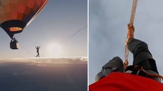 Viral Video: మృగరాజు, గజరాజు మధ్య పోట్లాట.. చివరికి ఏమైందంటే..