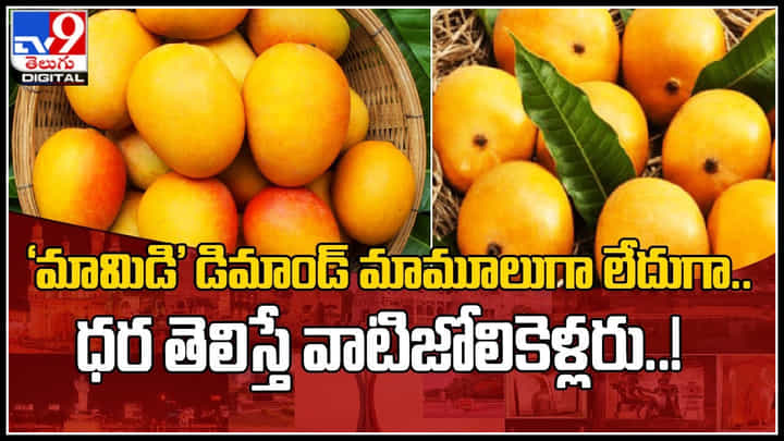 Mango Price: ‘మామిడి’ డిమాండ్ మామూలుగా లేదుగా.. ధర తెలిస్తే వాటిజోలికెళ్లరు..! లక్షలో.. Mango Price: ‘మామిడి’ డిమాండ్ మామూలుగా లేదుగా.. ధర తెలిస్తే వాటిజోలికెళ్లరు..! లక్షలో..