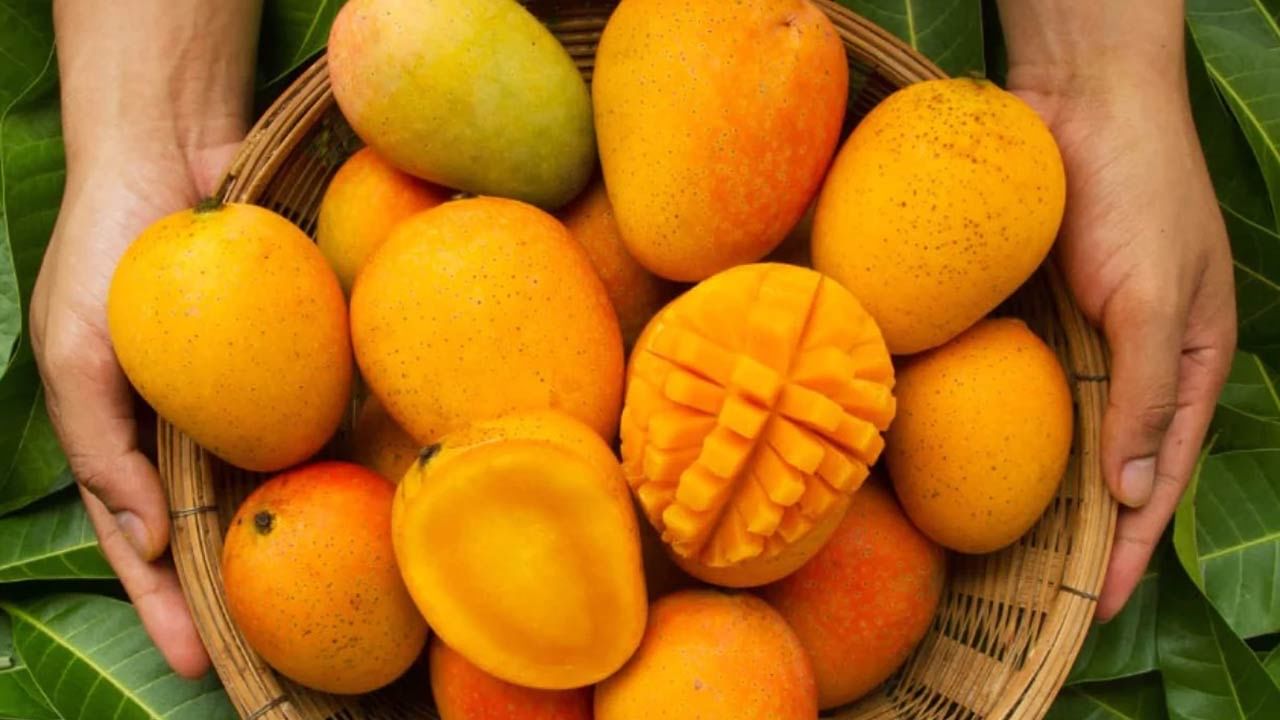 Mango prices: దుమ్ము రేపుతున్న మామిడి ధర.. తినేవాళ్లకు కష్టం.. అమ్మేవాళ్లకు అదృష్టం