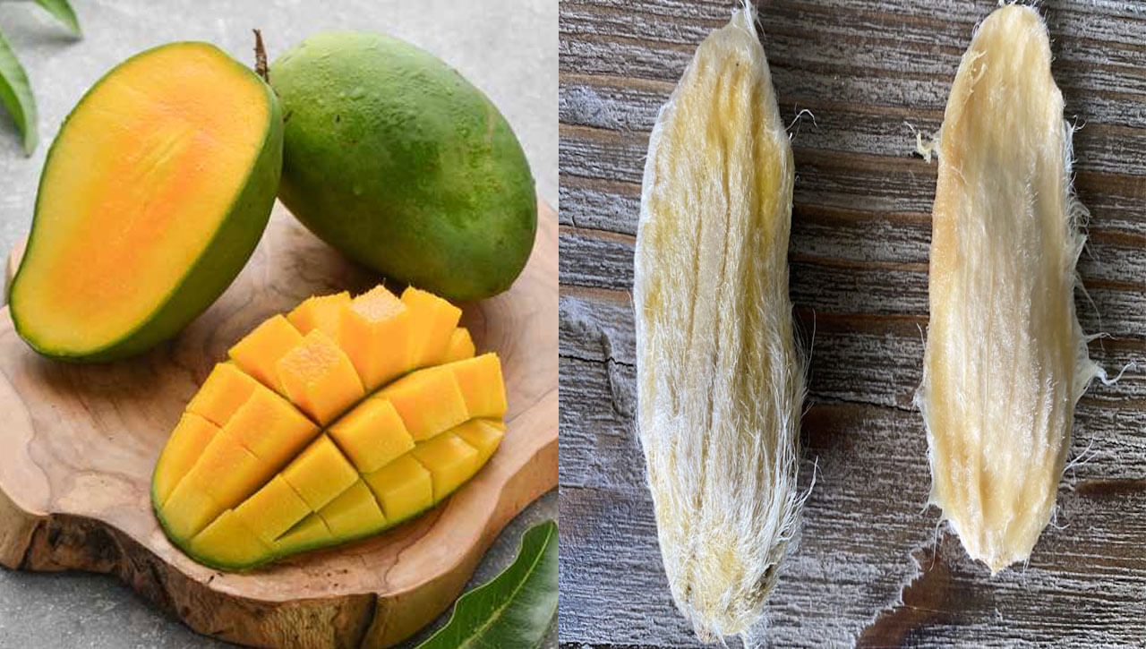 Mango Do you eat mangoes and throw nuts? Knowing these benefits will