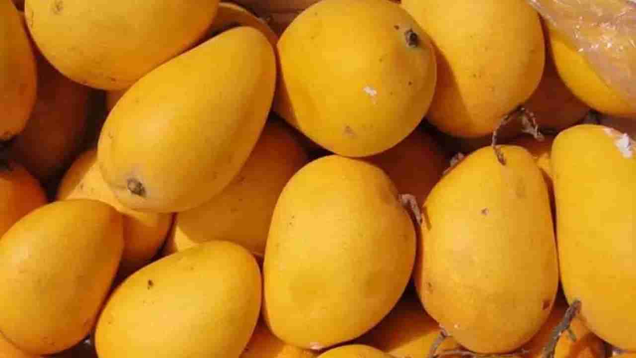 Mango Side Effects: మామిడి పండ్లు తింటున్నారా.. అయితే ఈ వ్యాధులు ఉన్నవారు అస్సలు తినొద్దు..