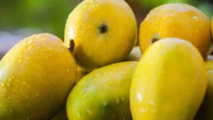 Mangoes: చేదెక్కుతున్న మధుర ఫలం.. ధరలోనే కాదు, రుచిలోనూ మోసమే