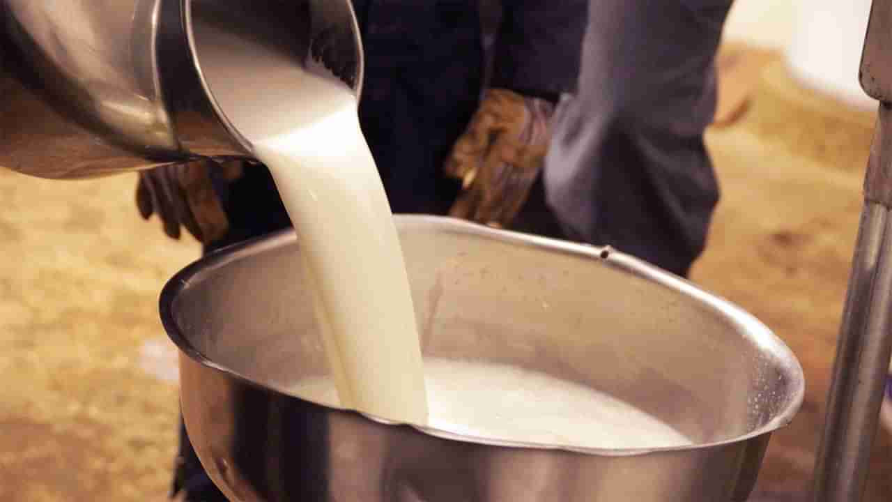 Milk Price Increase: సామాన్యులకు మరో భారం.. ఆ పాల ధరలు మరోసారి పెరగనున్నాయా..?