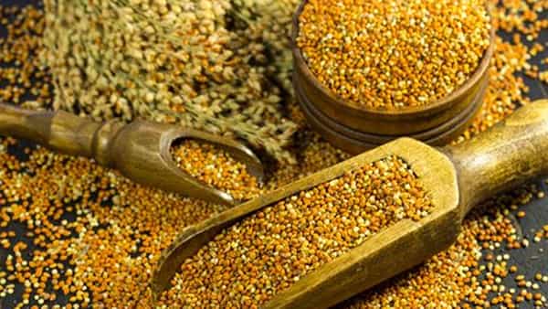 Millets Benfits: ఎదిగే పిల్లలకు చిరు ధాన్యాలు బెస్ట్.. ఇందులో ఉండే పోషకాలు తెలిస్తే అస్సలు వదిలిపెట్టరు..!