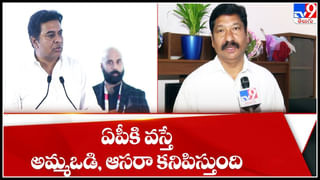 Minister Peddireddy: వచ్చే ఎన్నికల్లో ఓట్ల కోసమే కేటీఆర్ పాట్లు.. పక్కవారిపై నిందలు సరికావన్న మంత్రి పెద్దిరెడ్డి