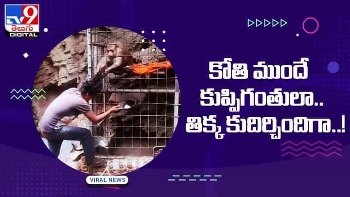 Viral Video: కోతి ముందే కుప్పిగంతులా !! తిక్క కుదిర్చిందిగా !! Viral Video: కోతి ముందే కుప్పిగంతులా !! తిక్క కుదిర్చిందిగా !!