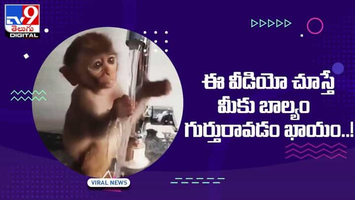 నెట్టింట నవ్వులు పూయిస్తున్న కోతిపిల్ల !! బాల్యం గుర్తుకొస్తుందంటున్న నెటిజన్లు నెట్టింట నవ్వులు పూయిస్తున్న కోతిపిల్ల !! బాల్యం గుర్తుకొస్తుందంటున్న నెటిజన్లు