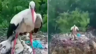 అదృష్టమంటే వీరిదే ఇక.. ఏప్రిల్ 7 నుంచి ఈ రాశులవారికి అంతా మంచి జరుగుతుంది..