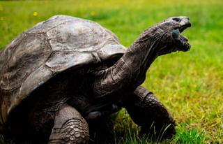 Hyderabad: కాటేసిన లోన్ యాప్.. వేధింపులకు మరొకరు బలి !!