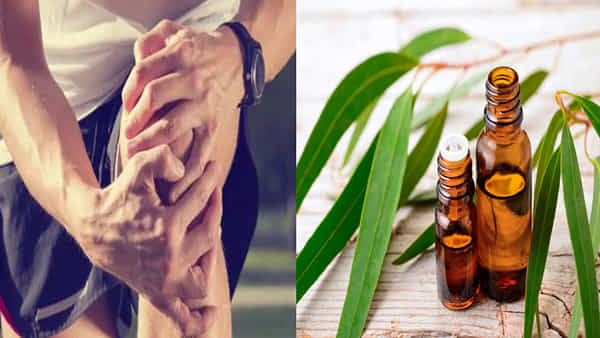 Health Tips: మోకాళ్లు, కీళ్ల నొప్పులు, జాయింట్ పెయిన్స్తో ఇబ్బంది పడుతున్నారా.. బెస్ట్ మెడిసిన్ ఈ ఆకుల రసం