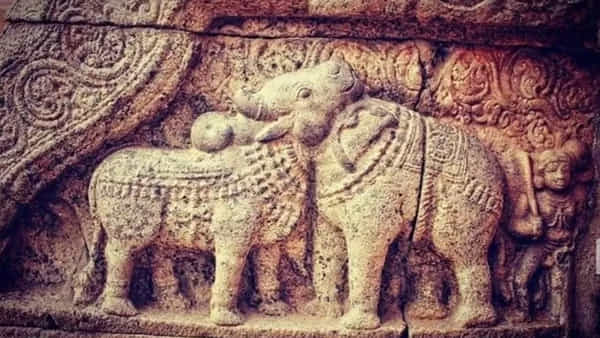 Viral Photo: ఈ ఫోటోలో మీరేం చూశారు.. మొదటిగా కనిపించేదే మీ వ్యక్తిత్వం.. అదేంటో తెలుసుకోండి!
