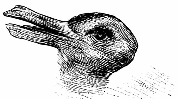 Optical Illusion: ఈ ఫొటోలో ఒక పక్షి, ఒక జంతువు దాగి ఉన్నాయి.. అవేంటో కనిపెడితే మీరు గ్రేటే..