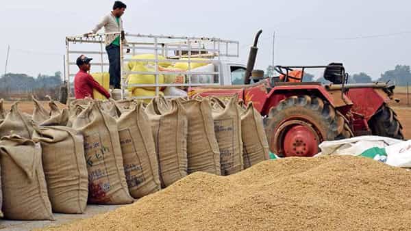 Paddy Procurement: ఇవాళ్టి నుంచి తెలంగాణలో యాసంగి ధాన్యం కొనుగోలు.. కేంద్రాలు ప్రారంభించేందుకు రంగం సిద్ధం..