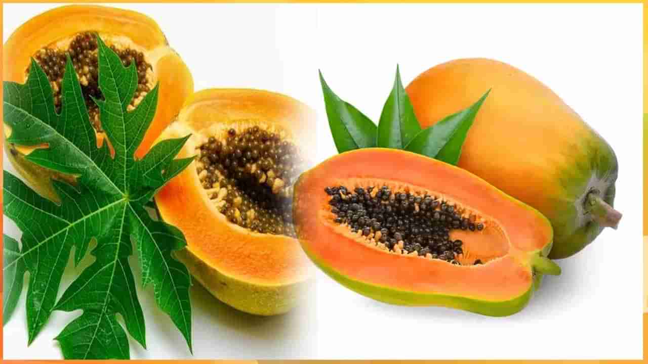 Benefits of Papaya: నిగనిగలాడే బొప్పాయితో ఇన్ని ఉపయోగాలా..! ఎలాంటి ప్రయోజనాలంటే..!