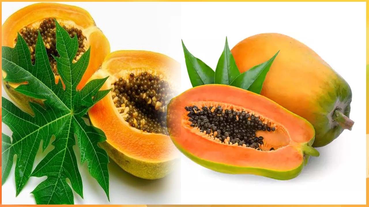 Benefits of Papaya: నిగనిగలాడే బొప్పాయితో ఇన్ని ఉపయోగాలా..! ఎలాంటి ప్రయోజనాలంటే..!