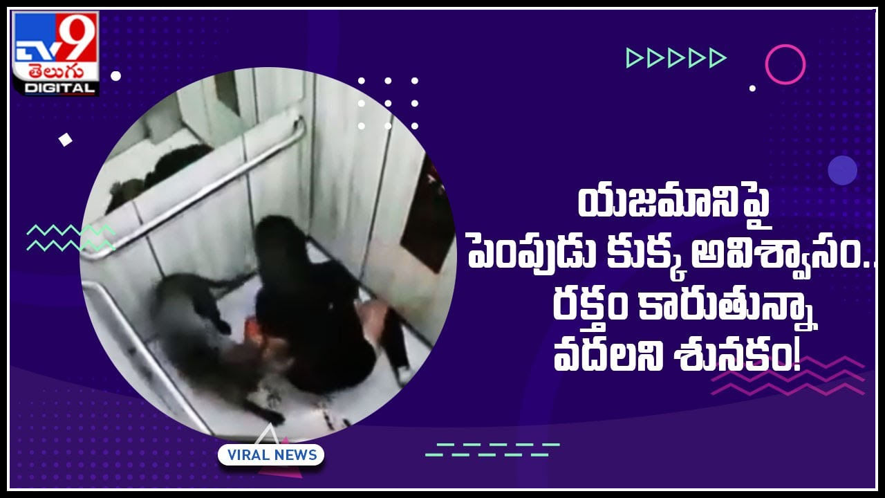 Dog on Owner: అన్నం పెట్టిన చేతిని కరిచే కుక్కలు కూడా ఉంటాయి.. య‌జ‌మానిపై పెంపుడు కుక్క అవిశ్వాసం..