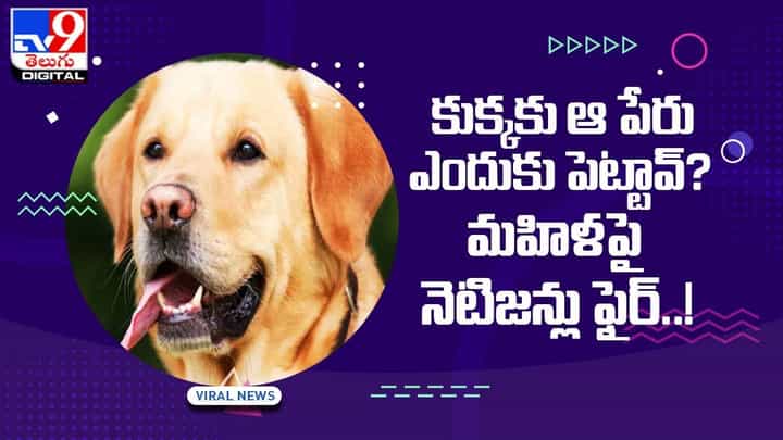 కుక్కకు ఆ పేరు ఎందుకు పెట్టావ్ ?? మహిళపై నెటిజన్లు ఫైర్ !! కుక్కకు ఆ పేరు ఎందుకు పెట్టావ్ ?? మహిళపై నెటిజన్లు ఫైర్ !!