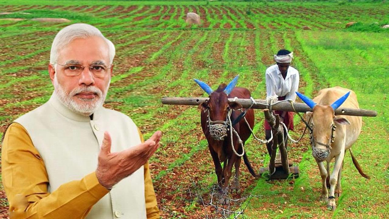 PM Kisan: రైతులకు అలర్ట్.. కీలక నిర్ణయం తీసుకున్న కేంద్రం.. పీఎం కిసాన్ పథకానికి ఇక వీరు అనర్హులు.. 