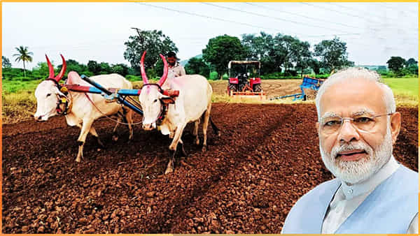 PM Kisan: పీఎం కిసాన్ స్కీమ్లో కేంద్రం కీలక నిర్ణయం.. నిబంధనలు కఠినతరం.. రైతులు ఇలా చేస్తే డబ్బులు అందవు