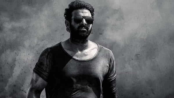 Salaar Movie: ప్రభాస్ కోసం ప్రశాంత్ నీల్ భారీ ప్లాన్.. ఇంటర్వెల్ సిక్వెన్స్ కోసం ఎన్ని కోట్లు ఖర్చు పెడుతున్నారో తెలుసా..