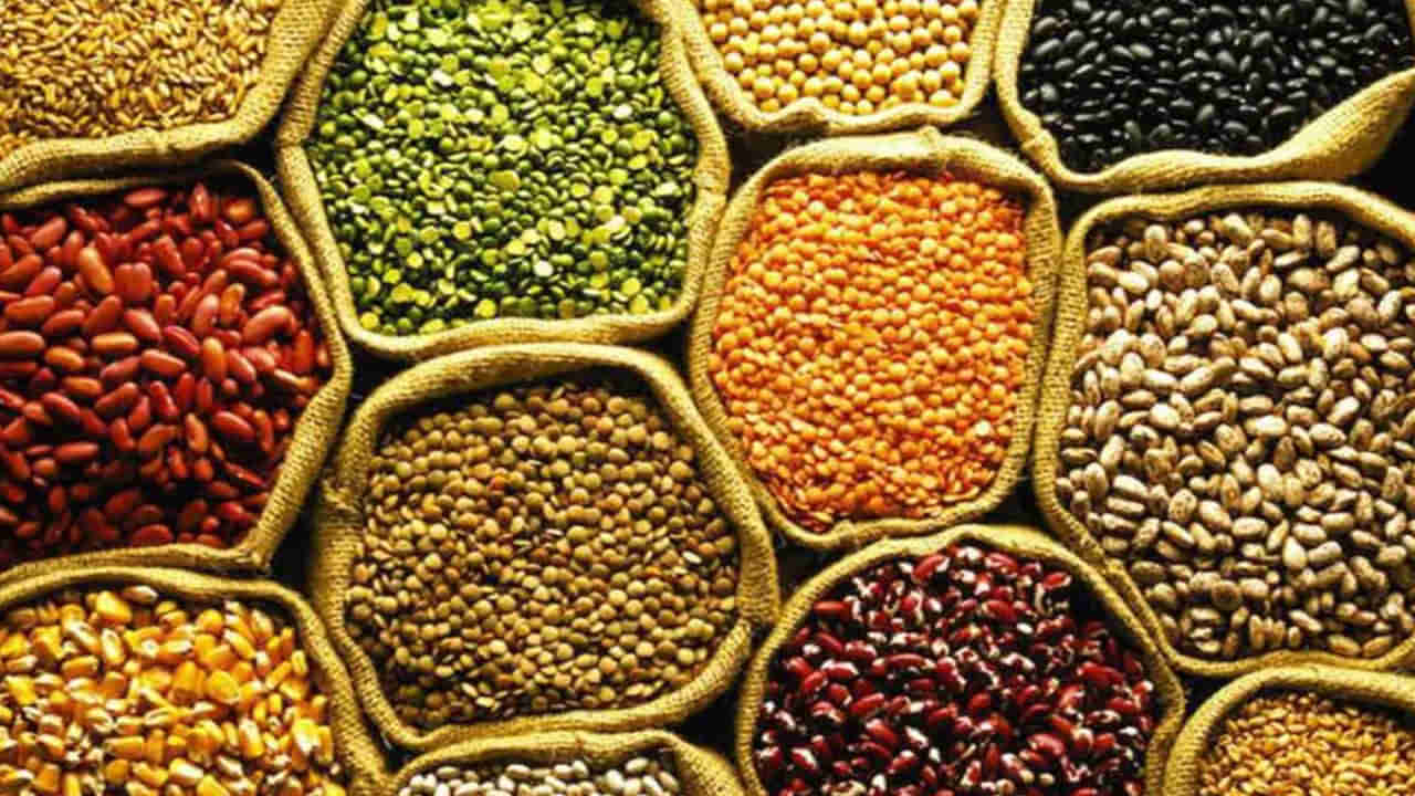 Pulses in Summer: వేసవిలో ఈ పప్పు దినుసులతో ఎన్నో ఆరోగ్య ప్రయోజనాలు.. మంట, వేడికి ఇలా చెక్ పెట్టొచ్చు..