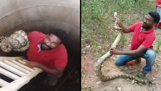 Anantapuram: నారా లోకేష్‌పై ఎవరు దాడి చేయలేదు.. మంత్రి పెద్దిరెడ్డి వ్యాఖ్యలు