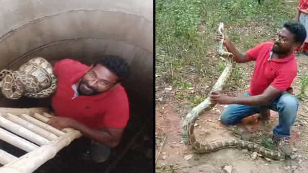 Andhra Pradesh: ఈ కొండచిలువకు కోపమెక్కువ.. తగ్గేదేలే అన్నట్లుగా దేన్నైనా మింగేస్తాయి..