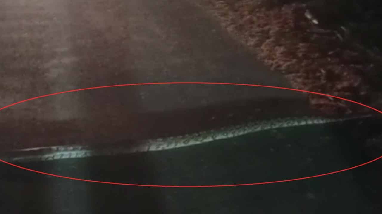Python Crossing Sign Andhra Pradesh: వామ్మో..! ఈ కొండ చిలువ చూశారా.. రొడ్డంత పొడవు ఉంది ...