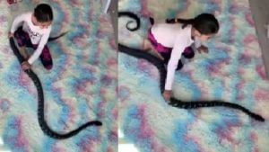 Viral Video: ఈ చిన్నారికి ఎన్ని గుండెలు.. ప్రమాదకర పాముతో ఆటలు.. చూస్తే షాకే