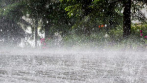 Weather Alert: బంగాళాఖాతంలో వాయుగుండం.. రాగాల ఐదు రోజుల్లో ఏపీ, తెలంగాణ సహా పలు రాష్ట్రాల్లో విస్తారంగా వర్షాలు