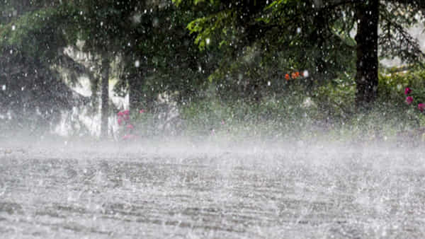 AP Weather Report: ఆంధ్రప్రదేశ్ ప్రజలకు గుడ్న్యూస్.. వాతావరణంలో భారీ మార్పు.. మరో మూడు రోజులపాటు..