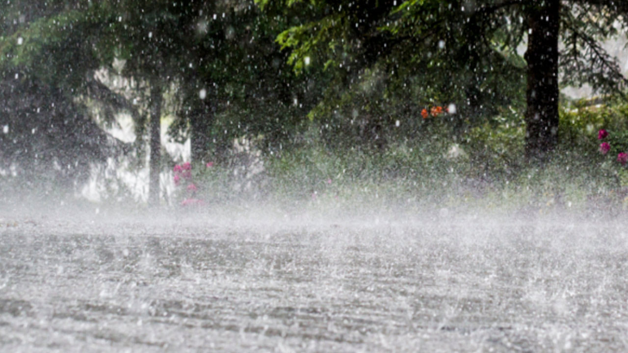Telangana Rain Alert: హైదరాబాద్ వాసులకు బిగ్ అలర్ట్.. మరో గంటలో నగర వ్యాప్తంగా..