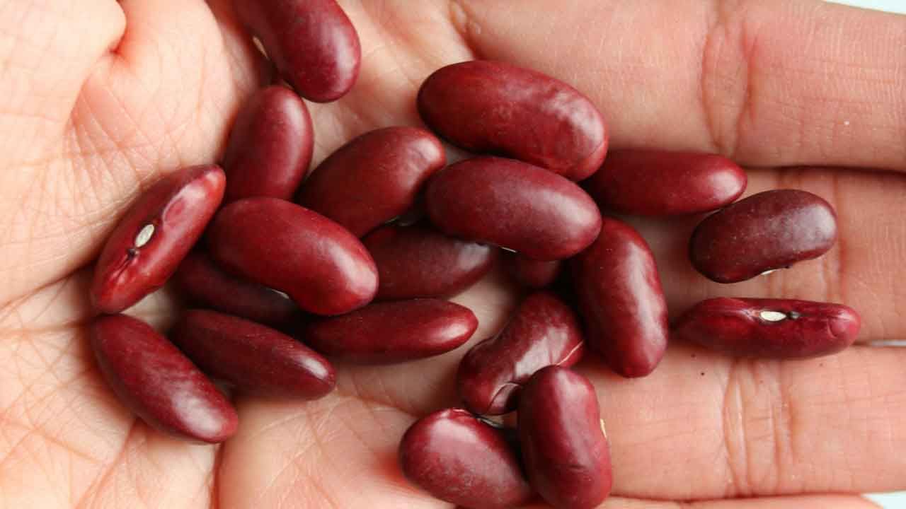 Kidney Beans Side Effects ఈ వ్యక్తులు కిడ్నీ బీన్స్‌ను తక్కువగా తినాలి