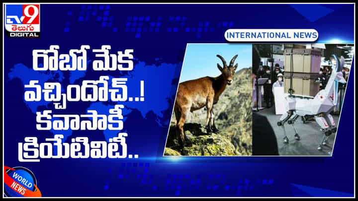 Robotic Goat Video: రోబో మేక వచ్చిందోచ్.. దీని ప్రత్యేకతలు నెక్స్ట్ లెవల్ అంతే..! క్రియేటివిటీ మాత్రం వారిదే.. Robotic Goat Video: రోబో మేక వచ్చిందోచ్.. దీని ప్రత్యేకతలు నెక్స్ట్ లెవల్ అంతే..! క్రియేటివిటీ మాత్రం వారిదే..
